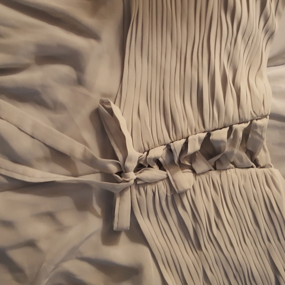 Plus Sized Prom Dress - Picture 3 of 4